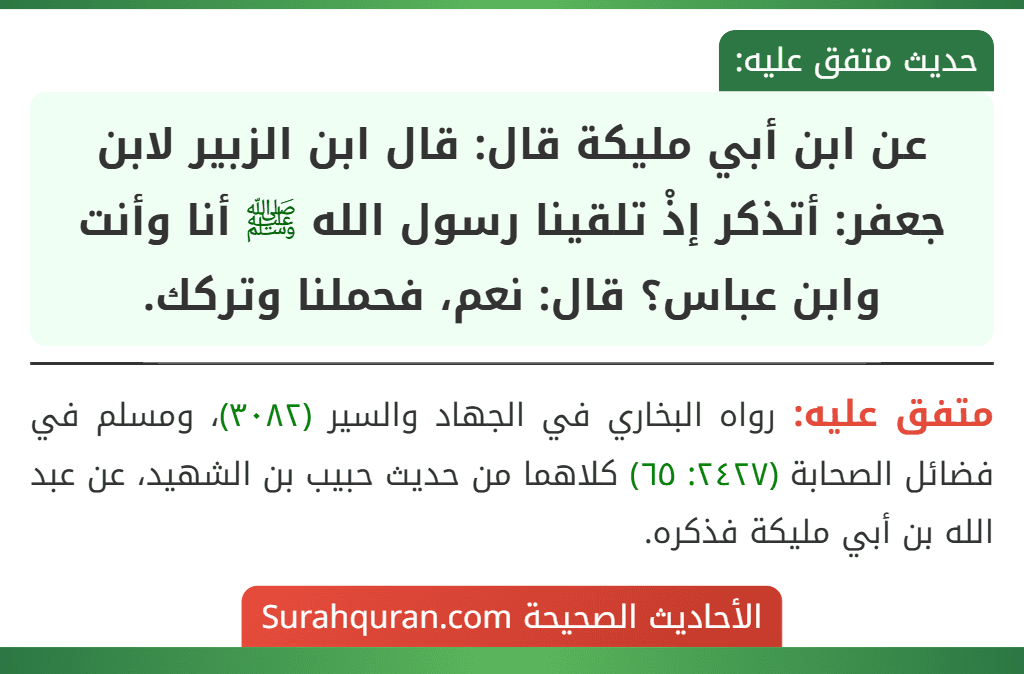 عن ابن أبي مليكة قال: قال ابن الزبير لابن جعفر: أتذكر إذْ تلقينا رسول الله ﷺ أنا وأنت وابن عباس؟ قال: نعم، فحملنا وتركك.