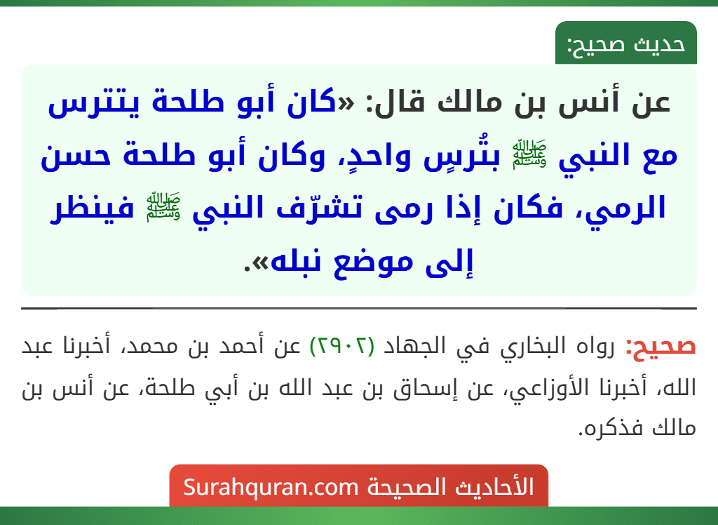 عن أنس بن مالك قال: «كان أبو طلحة يتترس مع النبي ﷺ بتُرسٍ واحدٍ، وكان أبو طلحة حسن الرمي، فكان إذا رمى تشرّف النبي ﷺ فينظر إلى موضع نبله».