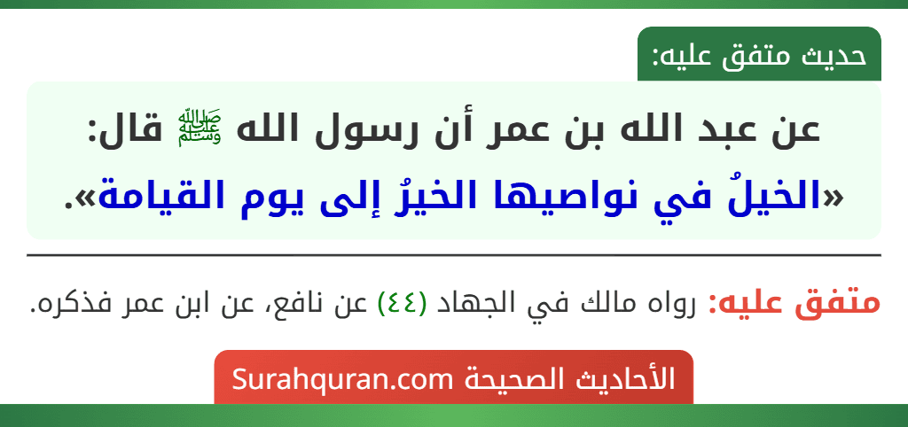 عن عبد الله بن عمر أن رسول الله ﷺ قال: «الخيلُ في نواصيها الخيرُ إلى يوم القيامة».