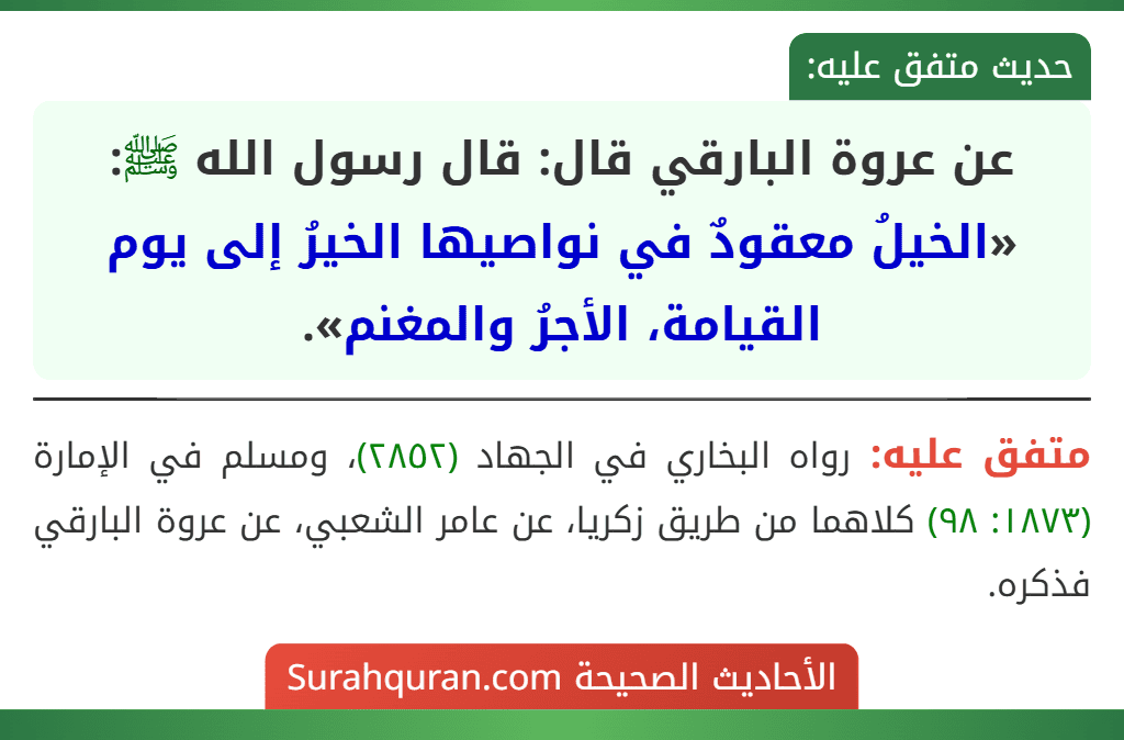 عن عروة البارقي قال: قال رسول الله ﷺ: «الخيلُ معقودٌ في نواصيها الخيرُ إلى يوم القيامة، الأجرُ والمغنم».