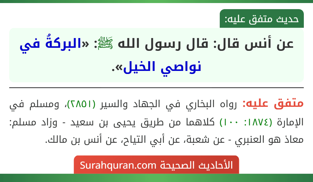 عن أنس قال: قال رسول الله ﷺ: «البركةُ في نواصي الخيل».