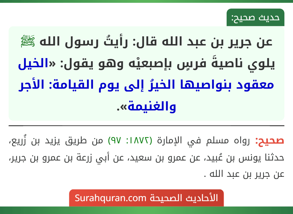 عن جرير بن عبد الله قال: رأيتُ رسول الله ﷺ يلوي ناصيةَ فرسٍ بإصبعيْه وهو يقول: «الخيل معقود بنواصيها الخيرُ إلى يوم القيامة: الأجر والغنيمة».