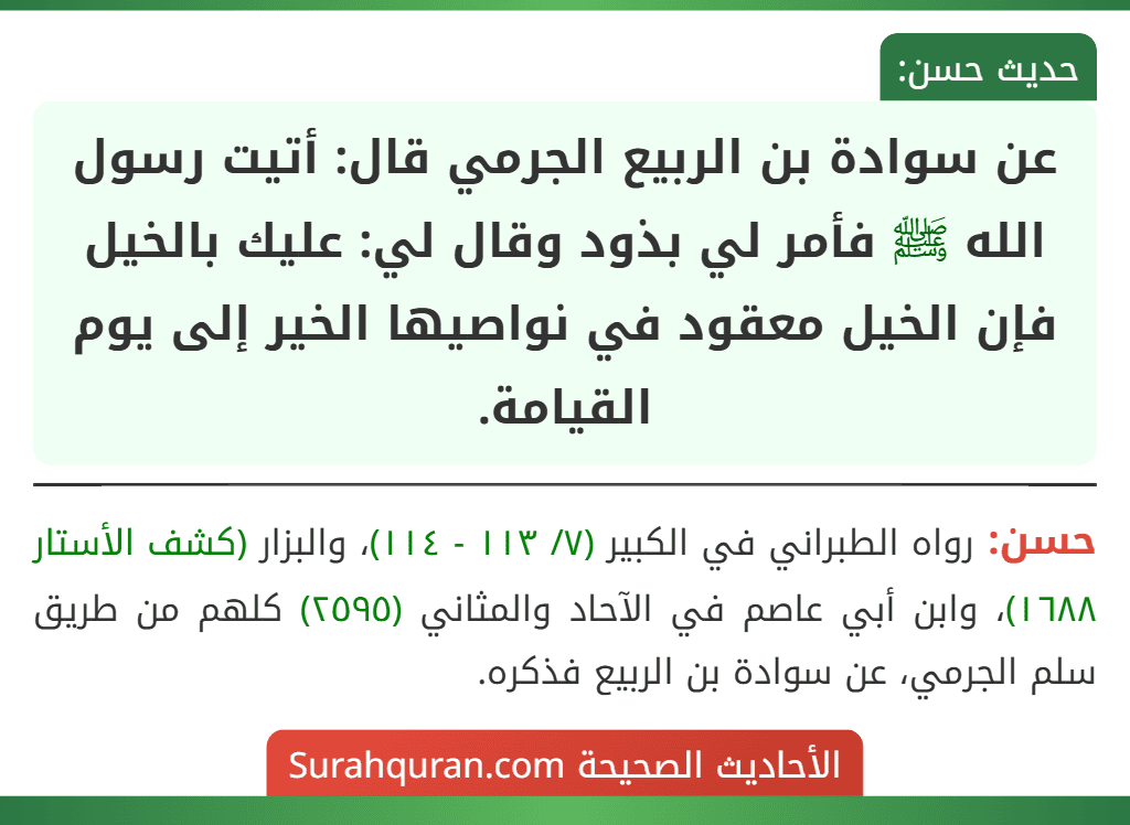 عن سوادة بن الربيع الجرمي قال: أتيت رسول الله ﷺ فأمر لي بذود وقال لي: عليك بالخيل فإن الخيل معقود في نواصيها الخير إلى يوم القيامة.