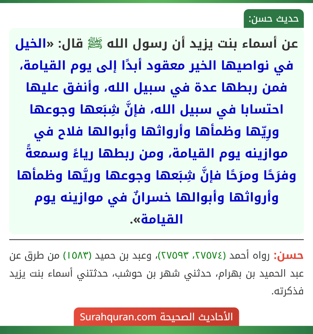 عن أسماء بنت يزيد أن رسول الله ﷺ قال: «الخيل في نواصيها الخير معقود أبدًا إلى يوم القيامة، فمن ربطها عدة في سبيل الله، وأنفق عليها احتسابا في سبيل الله، فإنَّ شِبَعها وجوعها ورِيّها وظمأها وأرواثها وأبوالها فلاح في موازينه يوم القيامة، ومن ربطها رياءً وسمعةً وفرَحًا ومرَحًا فإنَّ شِبَعها وجوعها وريَّها وظمأها وأرواثها وأبوالها خسرانٌ في موازينه يوم القيامة».