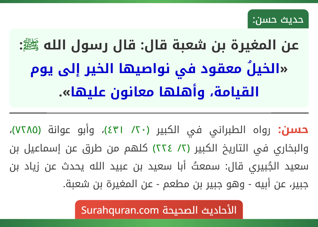 عن المغيرة بن شعبة قال: قال رسول الله ﷺ: «الخيلُ معقود في نواصيها الخير إلى يوم القيامة، وأهلها معانون عليها».