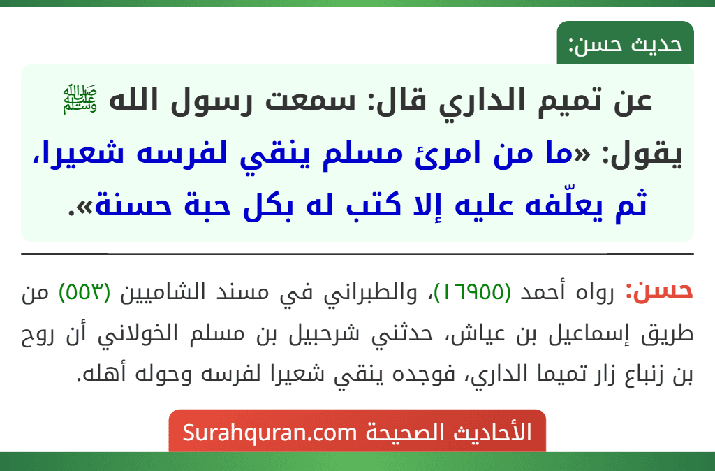 عن تميم الداري قال: سمعت رسول الله ﷺ يقول: «ما من امرئ مسلم ينقي لفرسه شعيرا، ثم يعلّفه عليه إلا كتب له بكل حبة حسنة».