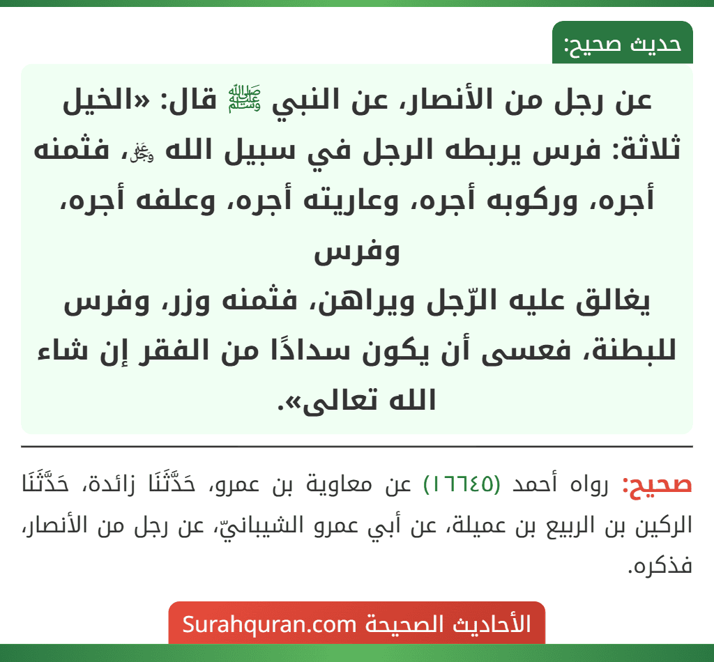عن رجل من الأنصار، عن النبي ﷺ قال: «الخيل ثلاثة: فرس يربطه الرجل في سبيل الله ﷿، فثمنه أجره، وركوبه أجره، وعاريته أجره، وعلفه أجره، وفرس
يغالق عليه الرّجل ويراهن، فثمنه وزر، وفرس للبطنة، فعسى أن يكون سدادًا من الفقر إن شاء الله تعالى».