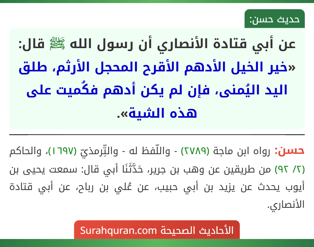 عن أبي قتادة الأنصاري أن رسول الله ﷺ قال: «خير الخيل الأدهم الأقرح المحجل الأرثم، طلق اليد اليُمنى، فإن لم يكن أدهم فكُميت على هذه الشية».