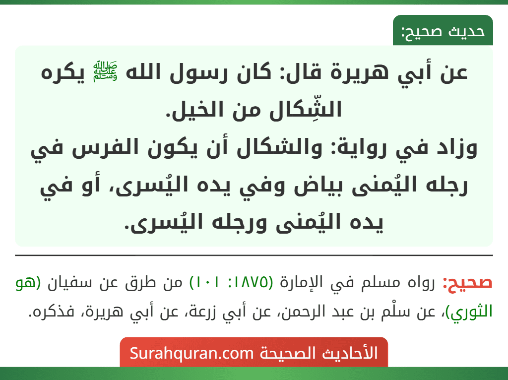 عن أبي هريرة قال: كان رسول الله ﷺ يكره الشِّكال من الخيل.
وزاد في رواية: والشكال أن يكون الفرس في رجله اليُمنى بياض وفي يده اليُسرى، أو في يده اليُمنى ورجله اليُسرى.