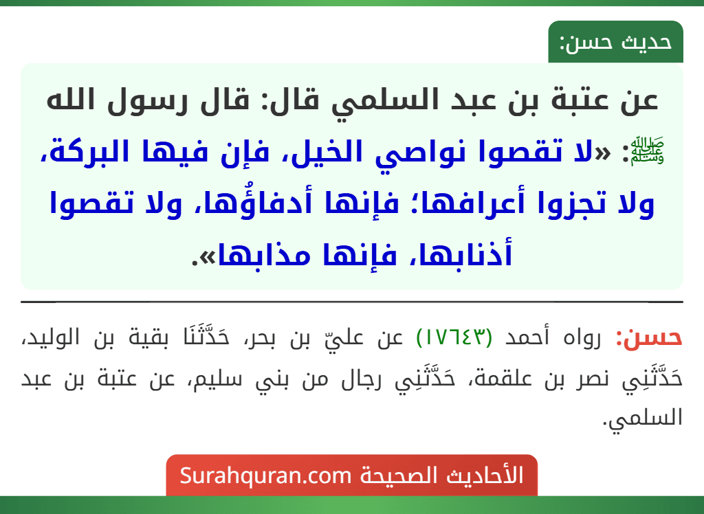 عن عتبة بن عبد السلمي قال: قال رسول الله ﷺ: «لا تقصوا نواصي الخيل، فإن فيها البركة، ولا تجزوا أعرافها؛ فإنها أدفاؤُها، ولا تقصوا أذنابها، فإنها مذابها».