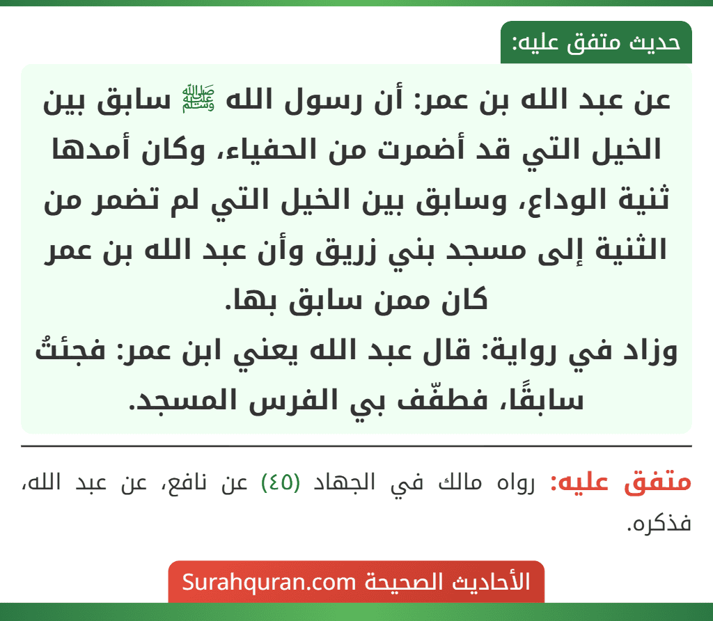 عن عبد الله بن عمر: أن رسول الله ﷺ سابق بين الخيل التي قد أضمرت من الحفياء، وكان أمدها ثنية الوداع، وسابق بين الخيل التي لم تضمر من الثنية إلى مسجد بني زريق وأن عبد الله بن عمر كان ممن سابق بها.
وزاد في رواية: قال عبد الله يعني ابن عمر: فجئتُ سابقًا، فطفّف بي الفرس المسجد.