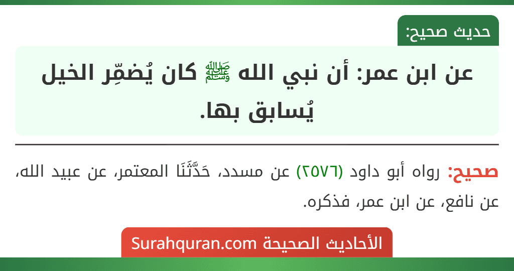 عن ابن عمر: أن نبي الله ﷺ كان يُضمِّر الخيل يُسابق بها. عن ابن عمر: أن نبي الله ﷺ كان يُضمِّر الخيل يُسابق بها.