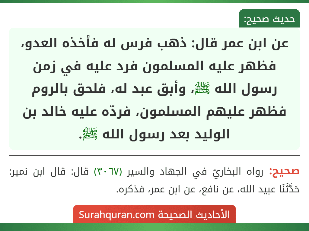عن ابن عمر قال: ذهب فرس له فأخذه العدو، فظهر عليه المسلمون فرد عليه في زمن رسول الله ﷺ، وأبق عبد له، فلحق بالروم فظهر عليهم المسلمون، فردّه عليه خالد بن الوليد بعد رسول الله ﷺ.