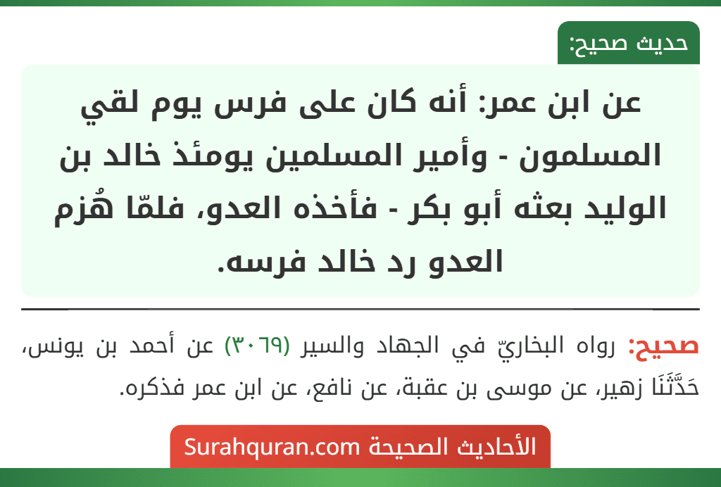 عن ابن عمر: أنه كان على فرس يوم لقي المسلمون - وأمير المسلمين يومئذ خالد بن الوليد بعثه أبو بكر - فأخذه العدو، فلمّا هُزم العدو رد خالد فرسه.