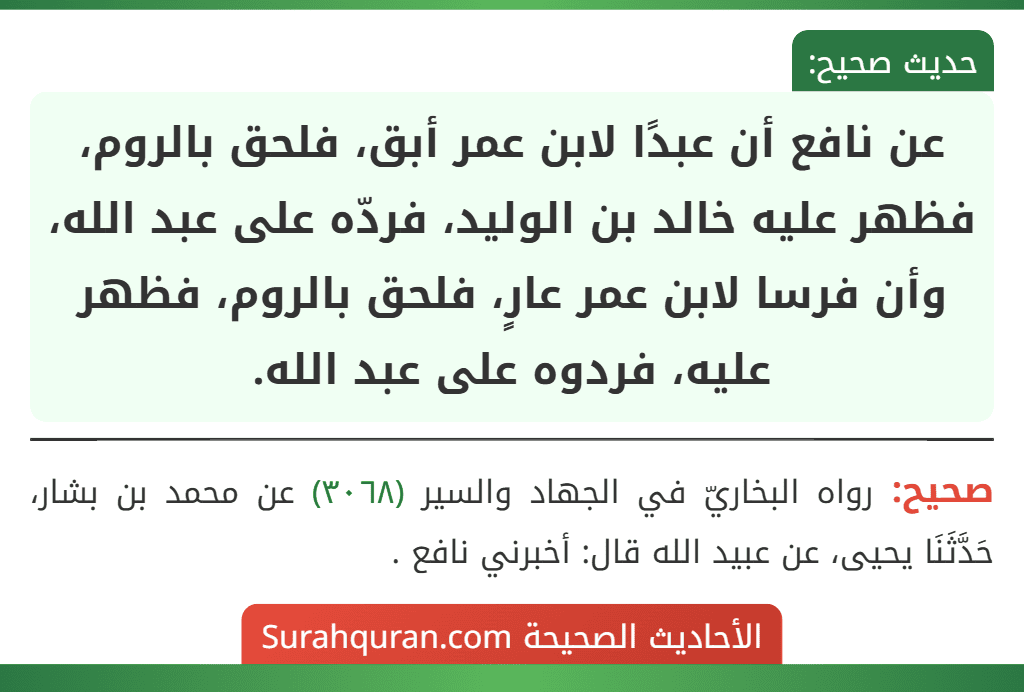 عن نافع أن عبدًا لابن عمر أبق، فلحق بالروم، فظهر عليه خالد بن الوليد، فردّه على عبد الله، وأن فرسا لابن عمر عارٍ، فلحق بالروم، فظهر عليه، فردوه على عبد الله. عن نافع أن عبدًا لابن عمر أبق، فلحق بالروم، فظهر عليه خالد بن الوليد، فردّه على عبد الله، وأن فرسا لابن عمر عارٍ، فلحق بالروم، فظهر عليه، فردوه على عبد الله.