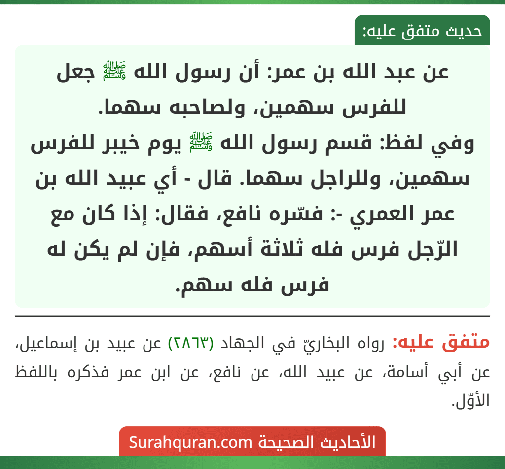 عن عبد الله بن عمر: أن رسول الله ﷺ جعل للفرس سهمين، ولصاحبه سهما.
وفي لفظ: قسم رسول الله ﷺ يوم خيبر للفرس سهمين، وللراجل سهما. قال - أي عبيد الله بن عمر العمري -: فسّره نافع، فقال: إذا كان مع الرّجل فرس فله ثلاثة أسهم، فإن لم يكن له فرس فله سهم.