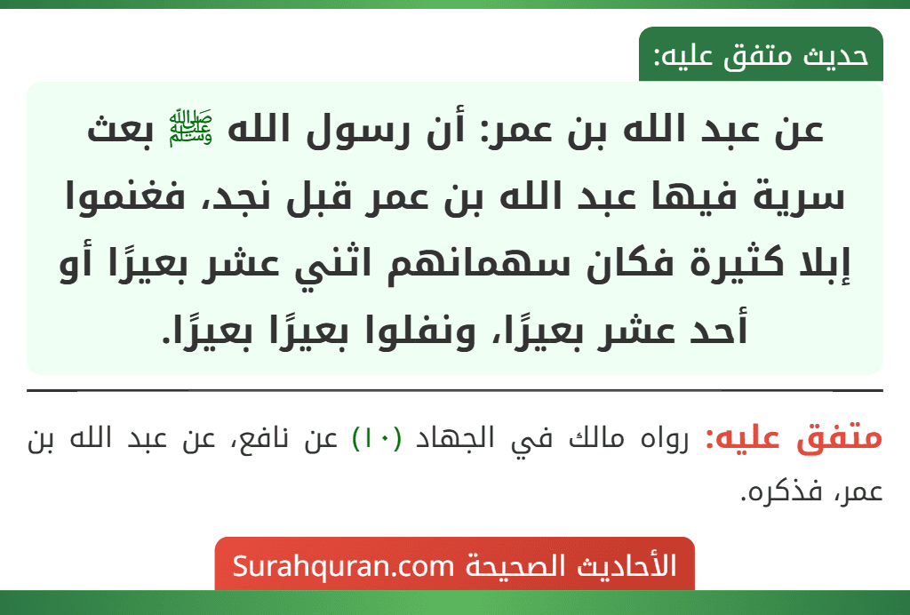 عن عبد الله بن عمر: أن رسول الله ﷺ بعث سرية فيها عبد الله بن عمر قبل نجد، فغنموا إبلا كثيرة فكان سهمانهم اثني عشر بعيرًا أو أحد عشر بعيرًا، ونفلوا بعيرًا بعيرًا.
