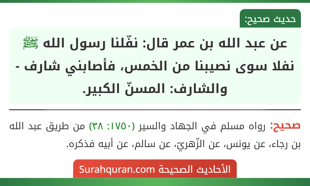 عن عبد الله بن عمر قال: نفّلنا رسول الله ﷺ نفلا سوى نصيبنا من الخمس، فأصابني شارف - والشارف: المسنّ الكبير.