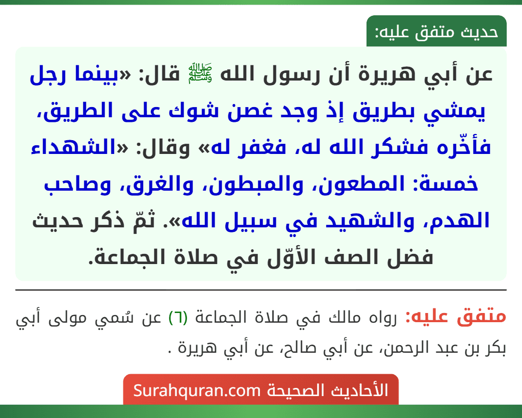 عن أبي هريرة أن رسول الله ﷺ قال: «بينما رجل يمشي بطريق إذ وجد غصن شوك على الطريق، فأخّره فشكر الله له، فغفر له» وقال: «الشهداء خمسة: المطعون، والمبطون، والغرق، وصاحب الهدم، والشهيد في سبيل الله». ثمّ ذكر حديث فضل الصف الأوّل في صلاة الجماعة.