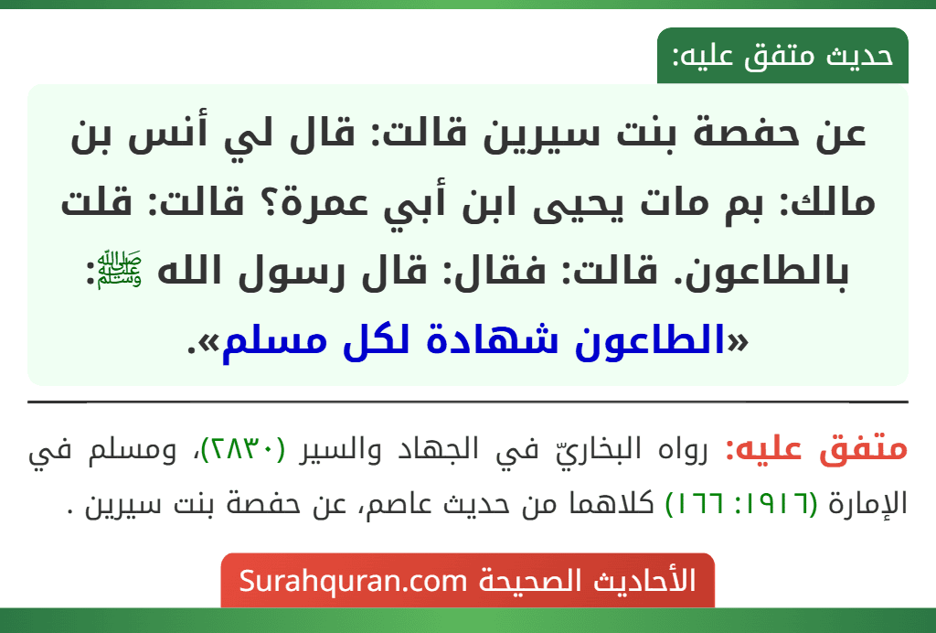 عن حفصة بنت سيرين قالت: قال لي أنس بن مالك: بم مات يحيى ابن أبي عمرة؟ قالت: قلت بالطاعون. قالت: فقال: قال رسول الله ﷺ: «الطاعون شهادة لكل مسلم».