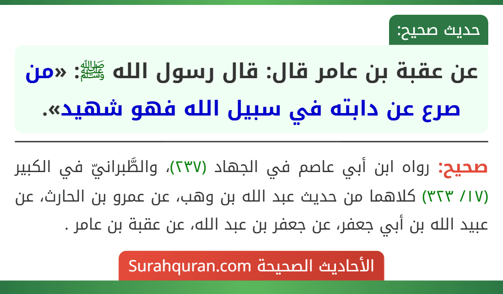 عن عقبة بن عامر قال: قال رسول الله ﷺ: «من صرع عن دابته في سبيل الله فهو شهيد».