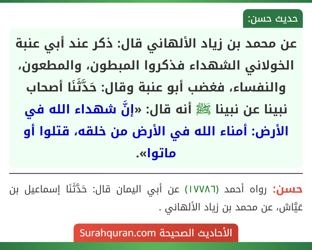 عن محمد بن زياد الألهاني قال: ذكر عند أبي عنبة الخولاني الشهداء فذكروا المبطون، والمطعون، والنفساء، فغضب أبو عنبة وقال: حَدَّثَنَا أصحاب نبينا عن نبينا ﷺ أنه قال: «إنَّ شهداء الله في الأرض: أمناء الله في الأرض من خلقه، قتلوا أو ماتوا».