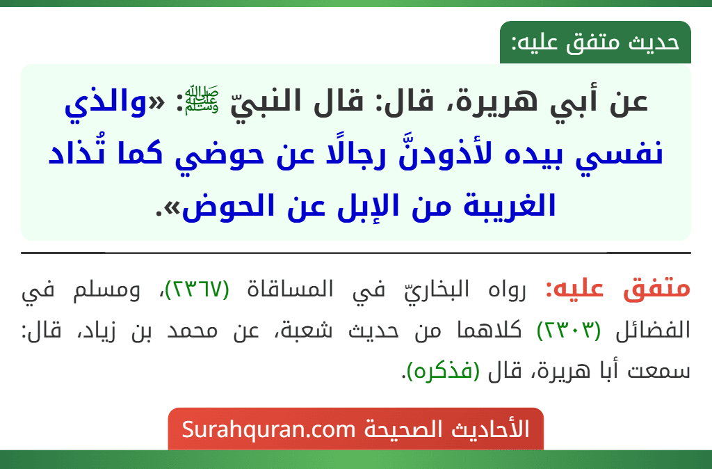 عن أبي هريرة، قال: قال النبيّ ﷺ: «والذي نفسي بيده لأذودنَّ رجالًا عن حوضي كما تُذاد الغريبة من الإبل عن الحوض».