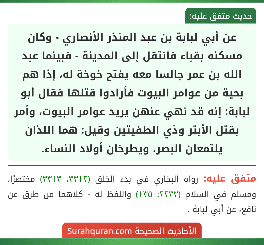 عن أبي لبابة بن عبد المنذر الأنصاري - وكان مسكنه بقباء فانتقل إلى المدينة - فبينما عبد الله بن عمر جالسا معه يفتح خوخة له، إذا هم بحية من عوامر البيوت فأرادوا قتلها فقال أبو لبابة: إنه قد نهي عنهن يريد عوامر البيوت، وأمر بقتل الأبتر وذي الطفيتين وقيل: هما اللذان يلتمعان البصر، ويطرحَان أولاد النساء.