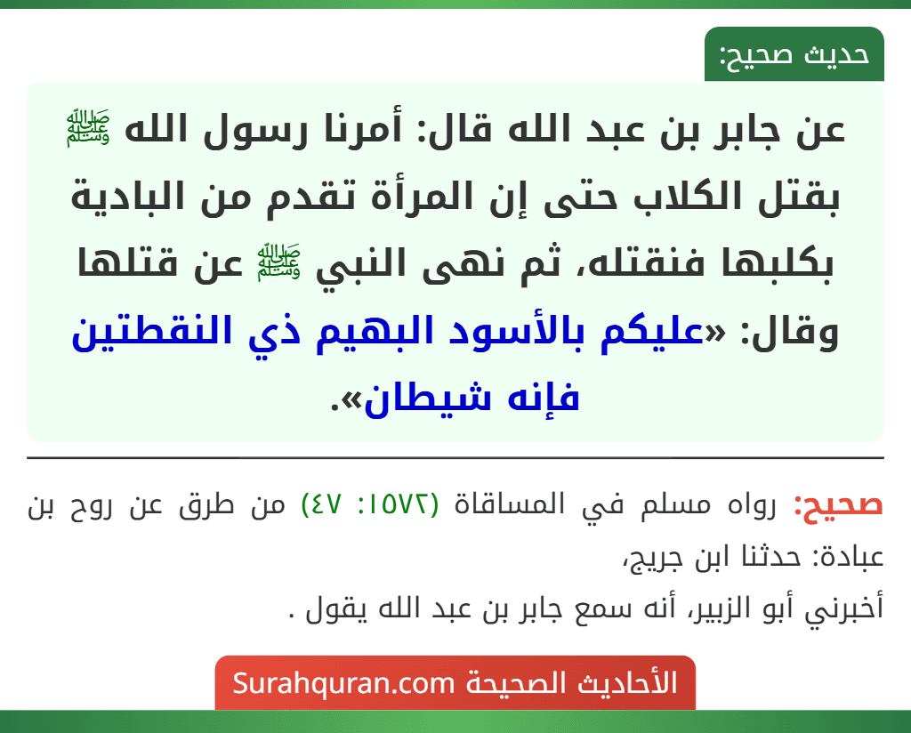 عن جابر بن عبد الله قال: أمرنا رسول الله ﷺ بقتل الكلاب حتى إن المرأة تقدم من البادية بكلبها فنقتله، ثم نهى النبي ﷺ عن قتلها وقال: «عليكم بالأسود البهيم ذي النقطتين فإنه شيطان». عن جابر بن عبد الله قال: أمرنا رسول الله ﷺ بقتل الكلاب حتى إن المرأة تقدم من البادية بكلبها فنقتله، ثم نهى النبي ﷺ عن قتلها وقال: «عليكم بالأسود البهيم ذي النقطتين فإنه شيطان».