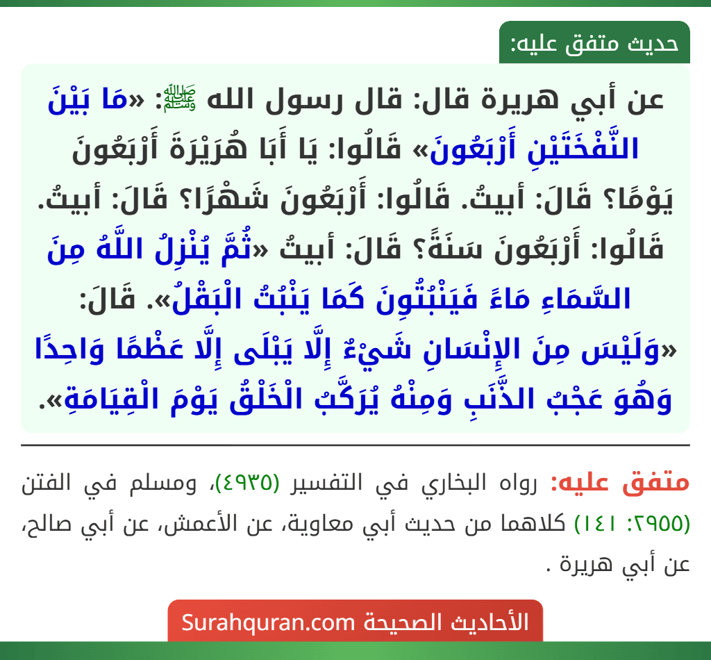 عن أبي هريرة قال: قال رسول الله ﷺ: «مَا بَيْنَ النَّفْخَتَيْنِ أَرْبَعُونَ» قَالُوا: يَا أَبَا هُرَيْرَةَ أَرْبَعُونَ يَوْمًا؟ قَالَ: أبيتُ. قَالُوا: أَرْبَعُونَ شَهْرًا؟ قَالَ: أبيتُ. قَالُوا: أَرْبَعُونَ سَنَةً؟ قَالَ: أبيتُ «ثُمَّ يُنْزِلُ اللَّهُ مِنَ السَّمَاءِ مَاءً فَيَنْبُتُوِنَ كَمَا يَنْبُتُ الْبَقْلُ». قَالَ: «وَلَيْسَ مِنَ الإِنْسَانِ شَيْءٌ إِلَّا يَبْلَى إِلَّا عَظْمًا وَاحِدًا وَهُوَ عَجْبُ الذَّنَبِ وَمِنْهُ يُرَكَّبُ الْخَلْقُ يَوْمَ الْقِيَامَةِ».