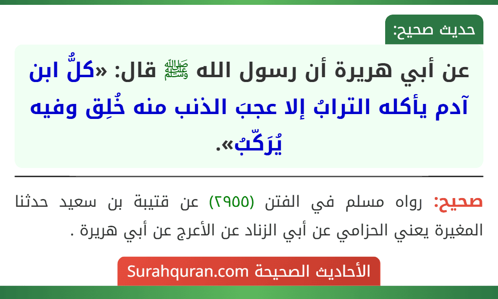 عن أبي هريرة أن رسول الله ﷺ قال: «كلُّ ابن آدم يأكله الترابُ إلا عجبَ الذنب منه خُلِق وفيه يُرَكّبُ».