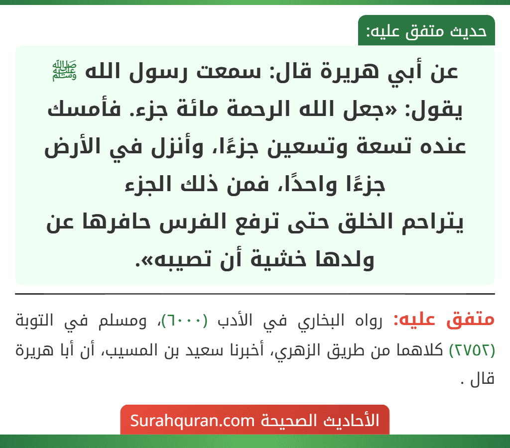 عن أبي هريرة قال: سمعت رسول الله ﷺ يقول: «جعل الله الرحمة مائة جزء. فأمسك عنده تسعة وتسعين جزءًا، وأنزل في الأرض جزءًا واحدًا، فمن ذلك الجزء
يتراحم الخلق حتى ترفع الفرس حافرها عن ولدها خشية أن تصيبه». عن أبي هريرة قال: سمعت رسول الله ﷺ يقول: «جعل الله الرحمة مائة جزء. فأمسك عنده تسعة وتسعين جزءًا، وأنزل في الأرض جزءًا واحدًا، فمن ذلك الجزء
يتراحم الخلق حتى ترفع الفرس حافرها عن ولدها خشية أن تصيبه».