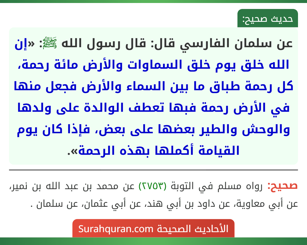 عن سلمان الفارسي قال: قال رسول الله ﷺ: «إن الله خلق يوم خلق السماوات والأرض مائة رحمة، كل رحمة طباق ما بين السماء والأرض فجعل منها في الأرض رحمة فبها تعطف الوالدة على ولدها والوحش والطير بعضها على بعض، فإذا كان يوم القيامة أكملها بهذه الرحمة».