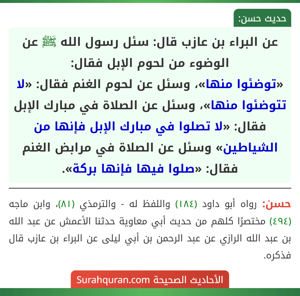 عن البراء بن عازب قال: سئل رسول الله ﷺ عن الوضوء من لحوم الإبل فقال:
«توضئوا منها»، وسئل عن لحوم الغنم فقال: «لا تتوضئوا منها»، وسئل عن الصلاة في مبارك الإبل فقال: «لا تصلوا في مبارك الإبل فإنها من الشياطين» وسئل عن الصلاة في مرابض الغنم فقال: «صلوا فيها فإنها بركة».