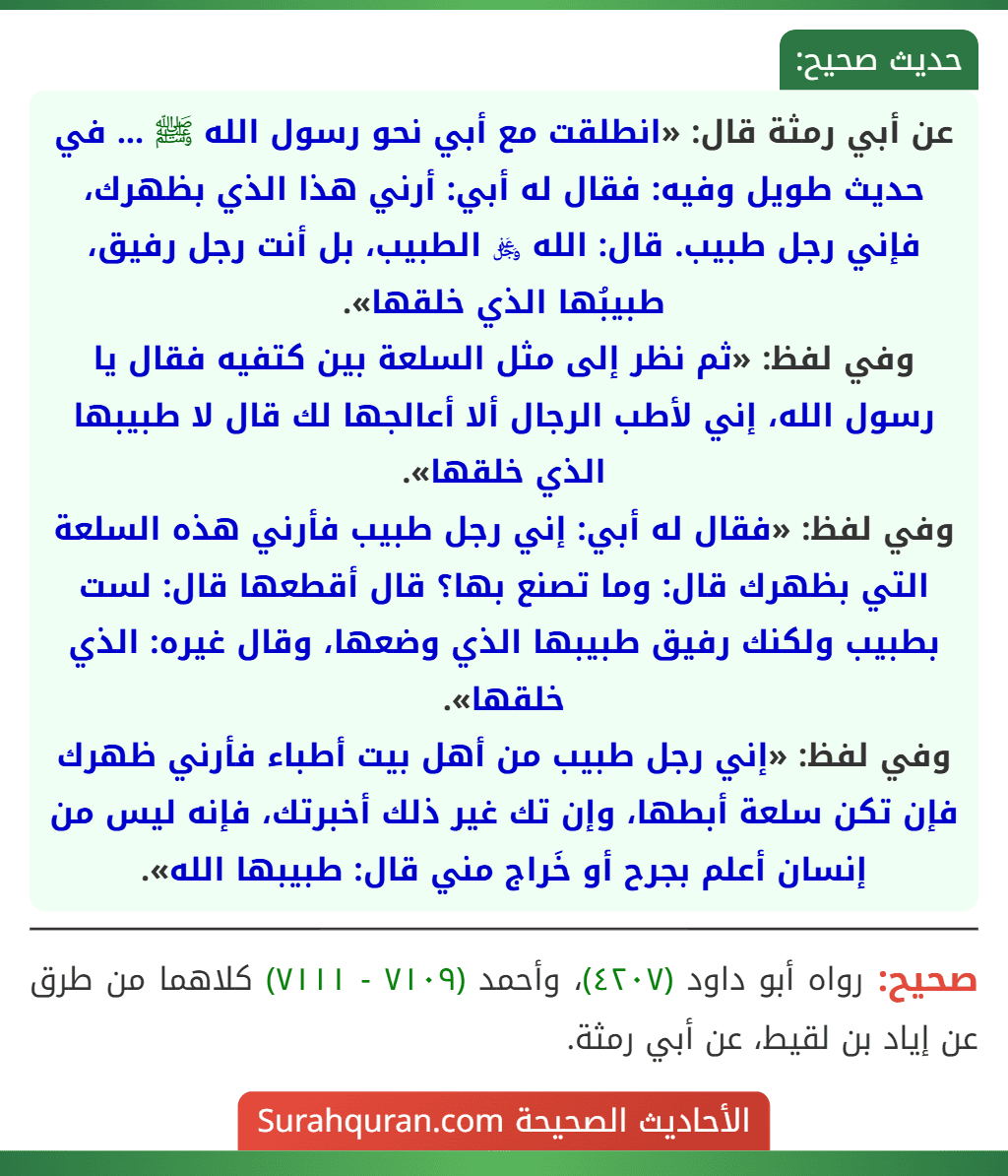 عن أبي رمثة قال: «انطلقت مع أبي نحو رسول الله ﷺ ... في حديث طويل وفيه: فقال له أبي: أرني هذا الذي بظهرك، فإني رجل طبيب. قال: الله ﷿ الطبيب، بل أنت رجل رفيق، طبيبُها الذي خلقها».
وفي لفظ: «ثم نظر إلى مثل السلعة بين كتفيه فقال يا رسول الله، إني لأطب الرجال ألا أعالجها لك قال لا طبيبها الذي خلقها».
وفي لفظ: «فقال له أبي: إني رجل طبيب فأرني هذه السلعة التي بظهرك قال: وما تصنع بها؟ قال أقطعها قال: لست بطبيب ولكنك رفيق طبيبها الذي وضعها، وقال غيره: الذي خلقها».
وفي لفظ: «إني رجل طبيب من أهل بيت أطباء فأرني ظهرك فإن تكن سلعة أبطها، وإن تك غير ذلك أخبرتك، فإنه ليس من إنسان أعلم بجرح أو خَراج مني قال: طبيبها الله».