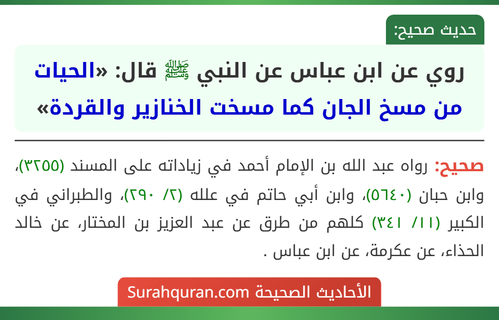 روي عن ابن عباس عن النبي ﷺ قال: «الحيات من مسخ الجان كما مسخت الخنازير والقردة»
