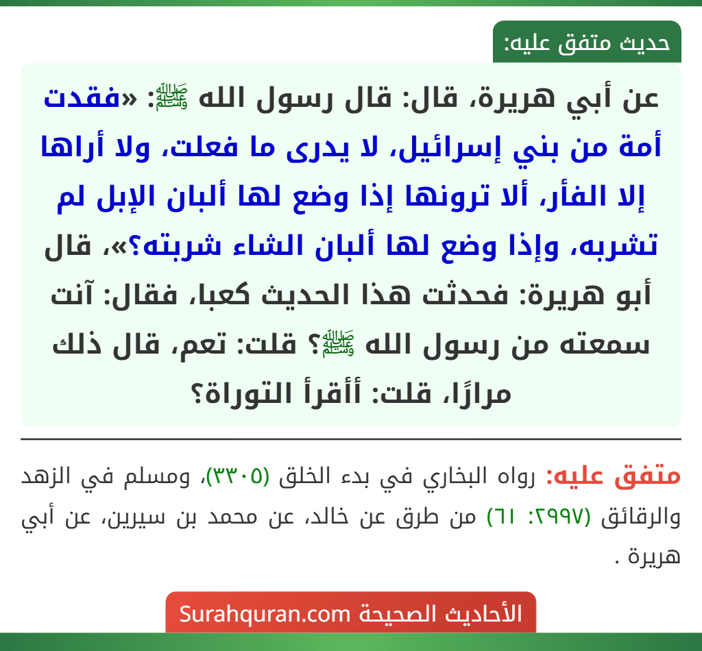 عن أبي هريرة، قال: قال رسول الله ﷺ: «فقدت أمة من بني إسرائيل، لا يدرى ما فعلت، ولا أراها إلا الفأر، ألا ترونها إذا وضع لها ألبان الإبل لم تشربه، وإذا وضع لها ألبان الشاء شربته؟»، قال أبو هريرة: فحدثت هذا الحديث كعبا، فقال: آنت سمعته من رسول الله ﷺ؟ قلت: تعم، قال ذلك مرارًا، قلت: أأقرأ التوراة؟