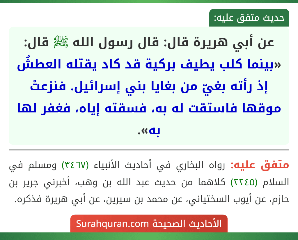 عن أبي هريرة قال: قال رسول الله ﷺ قال: «بينما كلب يطيف بركية قد كاد يقتله العطشُ إذ رأته بغيّ من بغايا بني إسرائيل. فنزعتْ موقها فاستقت له به، فسقته إياه، فغفر لها به».