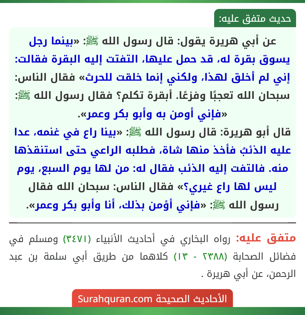 عن أبي هريرة يقول: قال رسول الله ﷺ: «بينما رجل يسوق بقرة له، قد حمل عليها، التفتت إليه البقرة فقالت: إني لم أخلق لهذا، ولكني إنما خلقت للحرث» فقال الناس: سبحان الله تعجبًا وفزعًا. أبقرة تكلم؟ فقال رسول الله ﷺ: «فإني أومن به وأبو بكر وعمر».
قال أبو هريرة: قال رسول الله ﷺ: «بينا راع في غنمه، عدا عليه الذئبُ فأخذ منها شاة، فطلبه الراعي حتى استنقذها منه. فالتفت إليه الذئب فقال له: من لها يوم السبع، يوم ليس لها راع غيري؟» فقال الناس: سبحان الله فقال رسول الله ﷺ: «فإني أؤمن بذلك، أنا وأبو بكر وعمر».