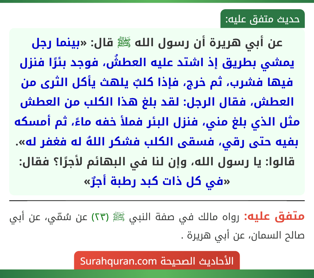 عن أبي هريرة أن رسول الله ﷺ قال: «بينما رجل يمشي بطريق إذ اشتد عليه العطشُ، فوجد بئرًا فنزل فيها فشرب، ثم خرج، فإذا كلبٌ يلهث يأكل الثرى من العطش، فقال الرجل: لقد بلغ هذا الكلب من العطش مثل الذي بلغ مني، فنزل البئر فملأ خفه ماءً، ثم أمسكه بفيه حتى رقي، فسقى الكلب فشكر اللهُ له فغفر له». قالوا: يا رسول الله، وإن لنا في البهائم لأجرًا؟ فقال: «في كل ذات كبد رطبة أجرٌ»