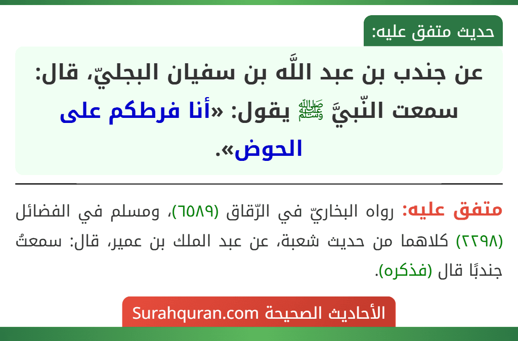 عن جندب بن عبد اللَّه بن سفيان البجليّ، قال: سمعت النّبيَّ ﷺ يقول: «أنا فرطكم على الحوض».