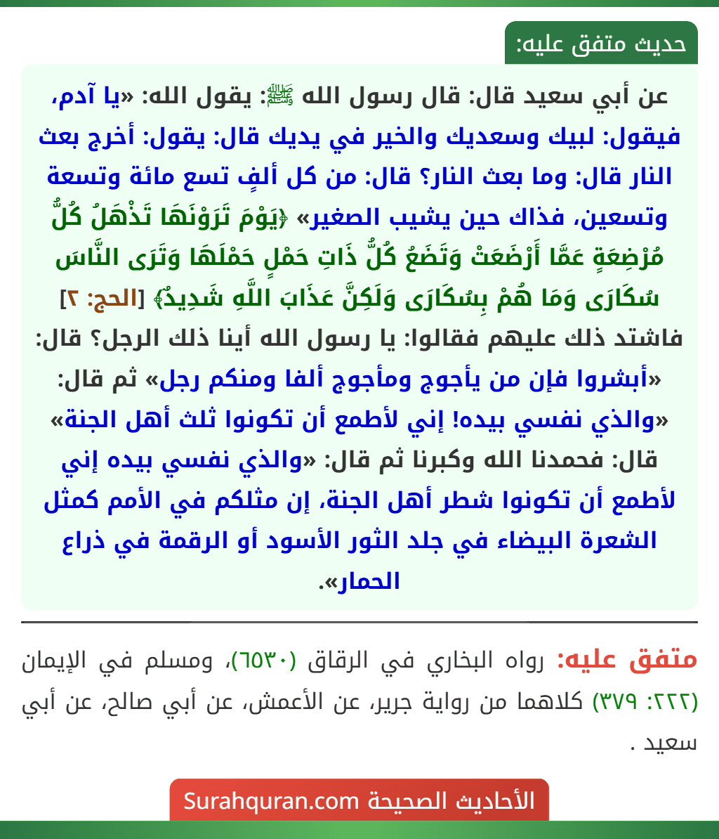 عن أبي سعيد قال: قال رسول الله ﷺ: يقول الله: «يا آدم، فيقول: لبيك وسعديك والخير في يديك قال: يقول: أخرج بعث النار قال: وما بعث النار؟ قال: من كل ألفٍ تسع مائة وتسعة وتسعين، فذاك حين يشيب الصغير» ﴿يَوْمَ تَرَوْنَهَا تَذْهَلُ كُلُّ مُرْضِعَةٍ عَمَّا أَرْضَعَتْ وَتَضَعُ كُلُّ ذَاتِ حَمْلٍ حَمْلَهَا وَتَرَى النَّاسَ سُكَارَى وَمَا هُمْ بِسُكَارَى وَلَكِنَّ عَذَابَ اللَّهِ شَدِيدٌ﴾ [الحج: ٢] فاشتد ذلك عليهم فقالوا: يا رسول الله أينا ذلك الرجل؟ قال: «أبشروا فإن من يأجوج ومأجوج ألفا ومنكم رجل» ثم قال: «والذي نفسي بيده! إني لأطمع أن تكونوا ثلث أهل الجنة» قال: فحمدنا الله وكبرنا ثم قال: «والذي نفسي بيده إني لأطمع أن تكونوا شطر أهل الجنة، إن مثلكم في الأمم كمثل الشعرة البيضاء في جلد الثور الأسود أو الرقمة في ذراع الحمار».