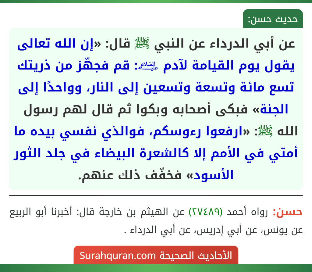 عن أبي الدرداء عن النبي ﷺ قال: «إن الله تعالى يقول يوم القيامة لآدم ﵇: قم فجهّز من ذريتك تسع مائة وتسعة وتسعين إلى النار، وواحدًا إلى الجنة» فبكى أصحابه وبكوا ثم قال لهم رسول الله ﷺ: «ارفعوا رءوسكم، فوالذي نفسي بيده ما أمتي في الأمم إلا كالشعرة البيضاء في جلد الثور الأسود» فخفّف ذلك عنهم. عن أبي الدرداء عن النبي ﷺ قال: «إن الله تعالى يقول يوم القيامة لآدم ﵇: قم فجهّز من ذريتك تسع مائة وتسعة وتسعين إلى النار، وواحدًا إلى الجنة» فبكى أصحابه وبكوا ثم قال لهم رسول الله ﷺ: «ارفعوا رءوسكم، فوالذي نفسي بيده ما أمتي في الأمم إلا كالشعرة البيضاء في جلد الثور الأسود» فخفّف ذلك عنهم.