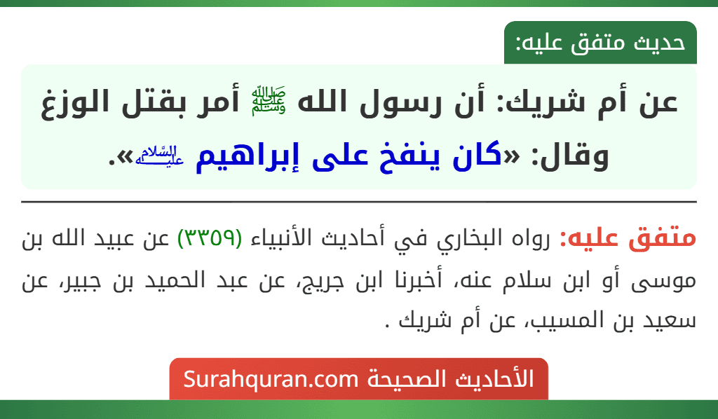 عن أم شريك: أن رسول الله ﷺ أمر بقتل الوزغ وقال: «كان ينفخ على إبراهيم ﵇». عن أم شريك: أن رسول الله ﷺ أمر بقتل الوزغ وقال: «كان ينفخ على إبراهيم ﵇».