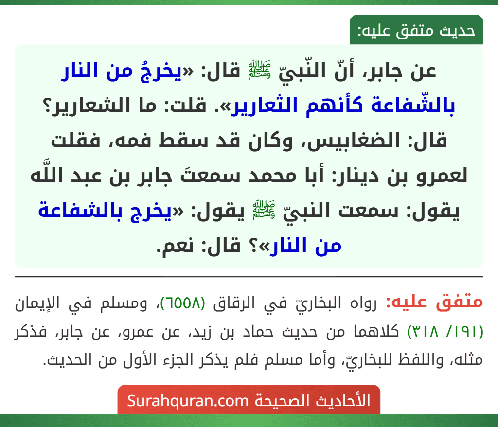 عن جابر، أنّ النّبيّ ﷺ قال: «يخرجُ من النار بالشّفاعة كأنهم الثعارير». قلت: ما الشعارير؟ قال: الضغابيس، وكان قد سقط فمه، فقلت لعمرو بن دينار: أبا محمد سمعتَ جابر بن عبد اللَّه يقول: سمعت النبيّ ﷺ يقول: «يخرج بالشفاعة من النار»؟ قال: نعم.