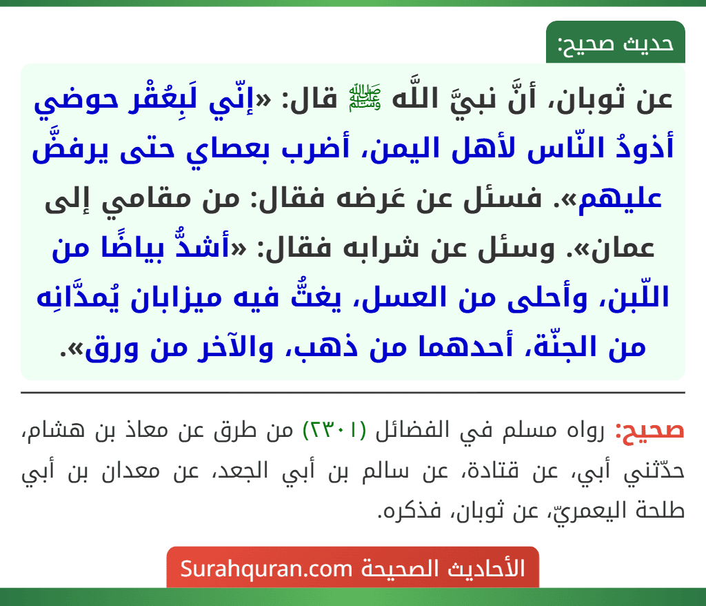عن ثوبان، أنَّ نبيَّ اللَّه ﷺ قال: «إنّي لَبِعُقْر حوضي أذودُ النّاس لأهل اليمن، أضرب بعصاي حتى يرفضَّ عليهم». فسئل عن عَرضه فقال: من مقامي إلى عمان». وسئل عن شرابه فقال: «أشدُّ بياضًا من اللّبن، وأحلى من العسل، يغتُّ فيه ميزابان يُمدَّانِه من الجنّة، أحدهما من ذهب، والآخر من ورق».
