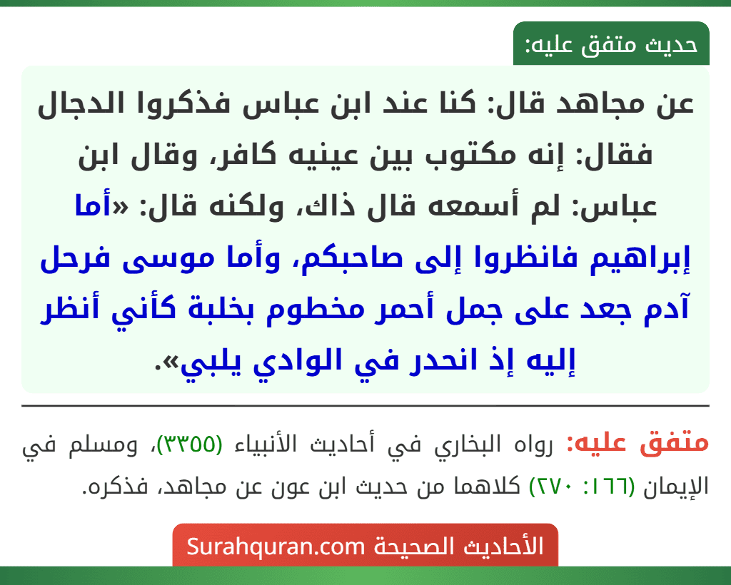 عن مجاهد قال: كنا عند ابن عباس فذكروا الدجال فقال: إنه مكتوب بين عينيه كافر، وقال ابن عباس: لم أسمعه قال ذاك، ولكنه قال: «أما إبراهيم فانظروا إلى صاحبكم، وأما موسى فرحل آدم جعد على جمل أحمر مخطوم بخلبة كأني أنظر إليه إذ انحدر في الوادي يلبي».