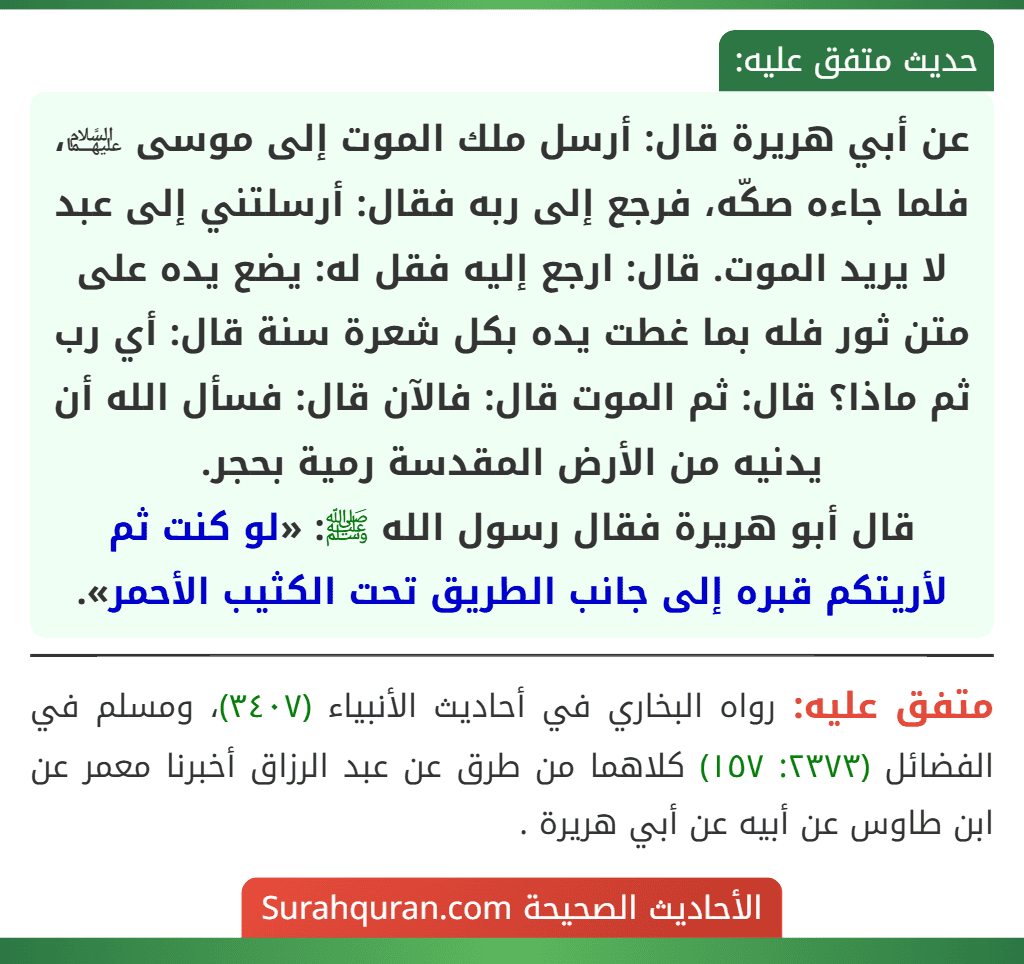 عن أبي هريرة قال: أرسل ملك الموت إلى موسى ﵉، فلما جاءه صكّه، فرجع إلى ربه فقال: أرسلتني إلى عبد لا يريد الموت. قال: ارجع إليه فقل له: يضع يده على متن ثور فله بما غطت يده بكل شعرة سنة قال: أي رب ثم ماذا؟ قال: ثم الموت قال: فالآن قال: فسأل الله أن يدنيه من الأرض المقدسة رمية بحجر.
قال أبو هريرة فقال رسول الله ﷺ: «لو كنت ثم لأريتكم قبره إلى جانب الطريق تحت الكثيب الأحمر».