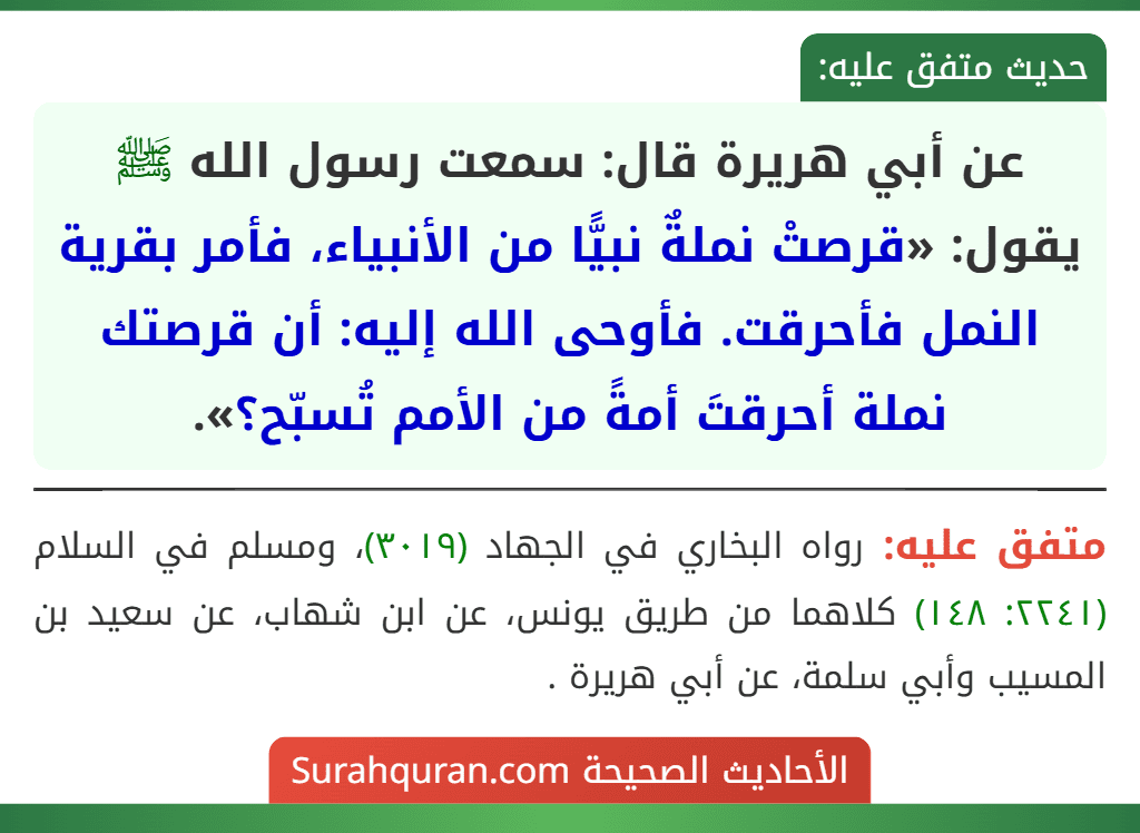 عن أبي هريرة قال: سمعت رسول الله ﷺ يقول: «قرصتْ نملةٌ نبيًّا من الأنبياء، فأمر بقرية النمل فأحرقت. فأوحى الله إليه: أن قرصتك نملة أحرقتَ أمةً من الأمم تُسبّح؟».