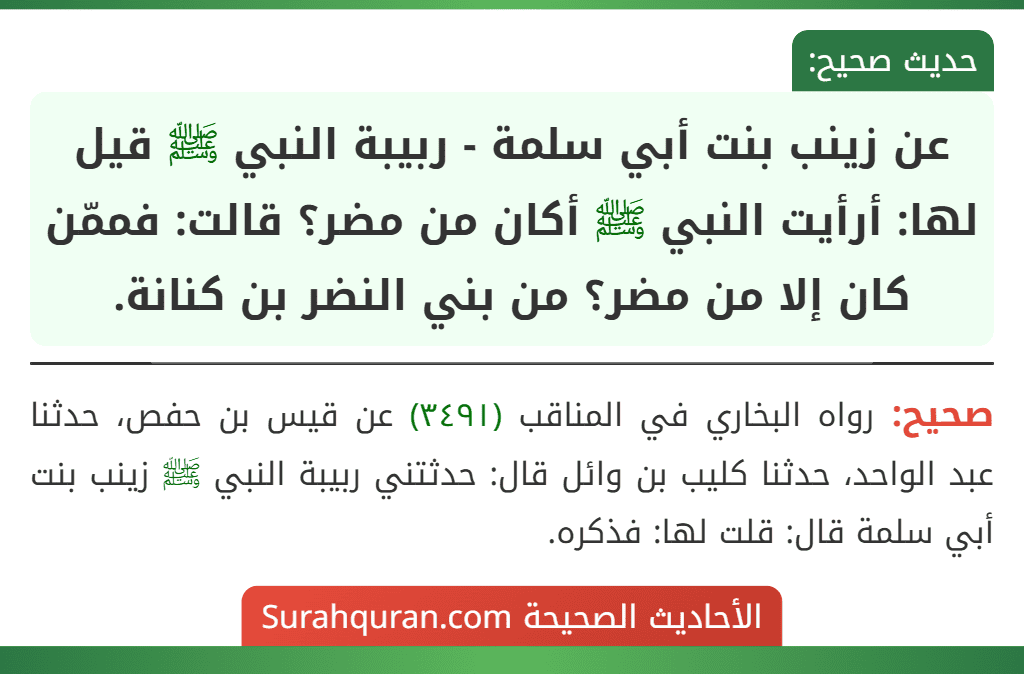 عن زينب بنت أبي سلمة - ربيبة النبي ﷺ قيل لها: أرأيت النبي ﷺ أكان من مضر؟ قالت: فممّن كان إلا من مضر؟ من بني النضر بن كنانة. عن زينب بنت أبي سلمة - ربيبة النبي ﷺ قيل لها: أرأيت النبي ﷺ أكان من مضر؟ قالت: فممّن كان إلا من مضر؟ من بني النضر بن كنانة.